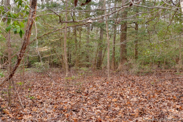 LOT A LONESOME PINE TRAIL, LANCASTER, VA 22503, photo 3 of 50
